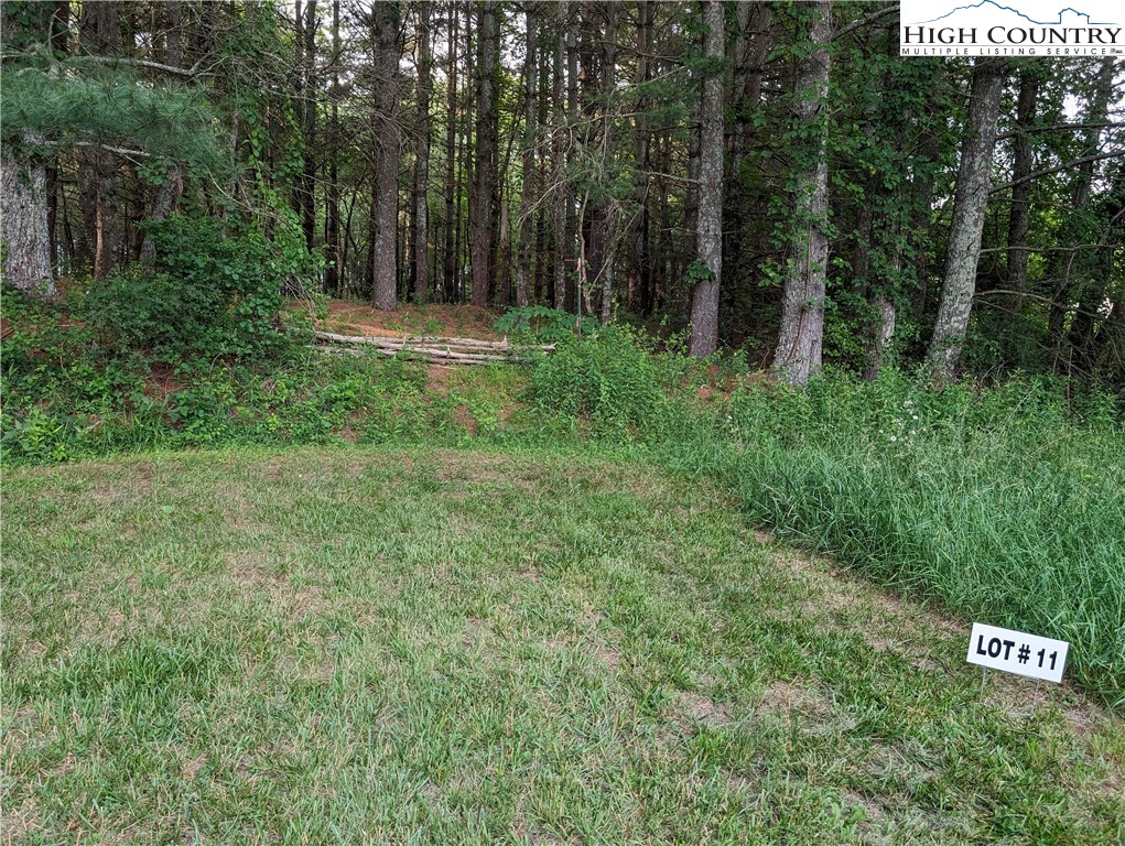 Lot 11 Sugar Creek Lane Property Photo 6