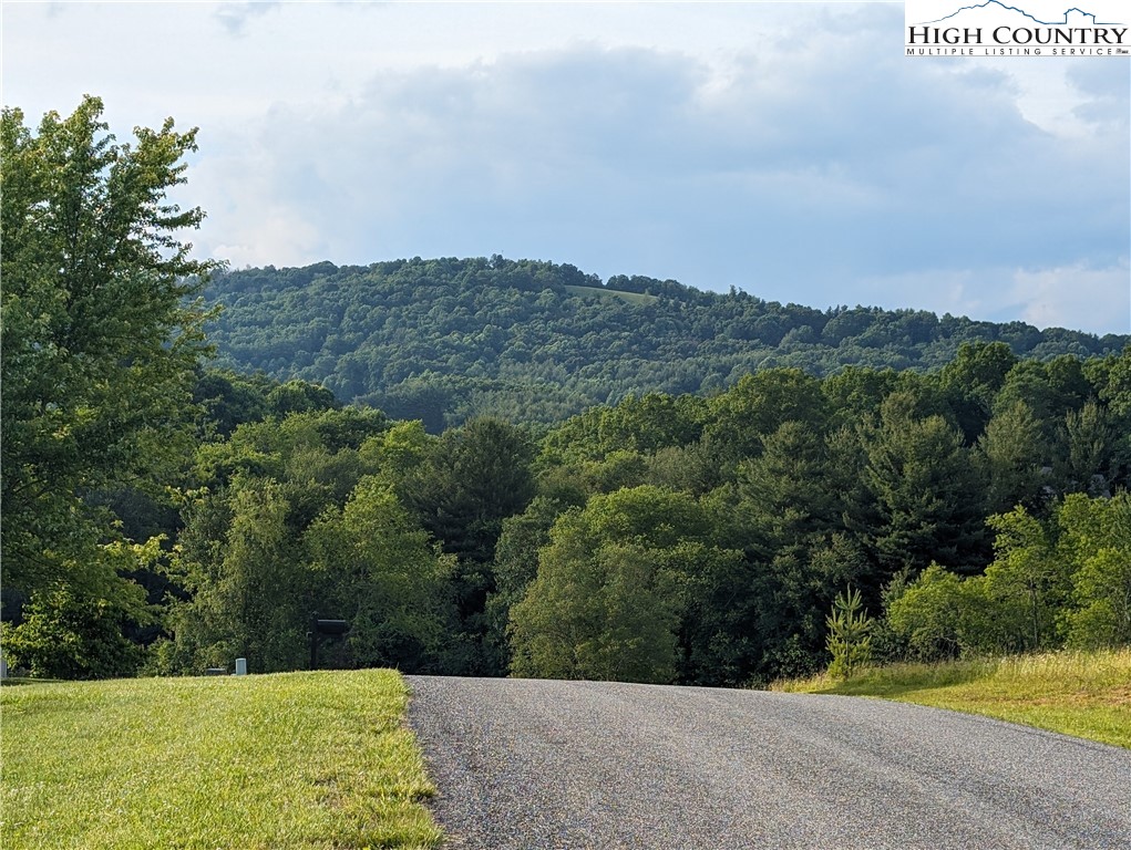 Lot 23 Dockery Lane Property Photo 7