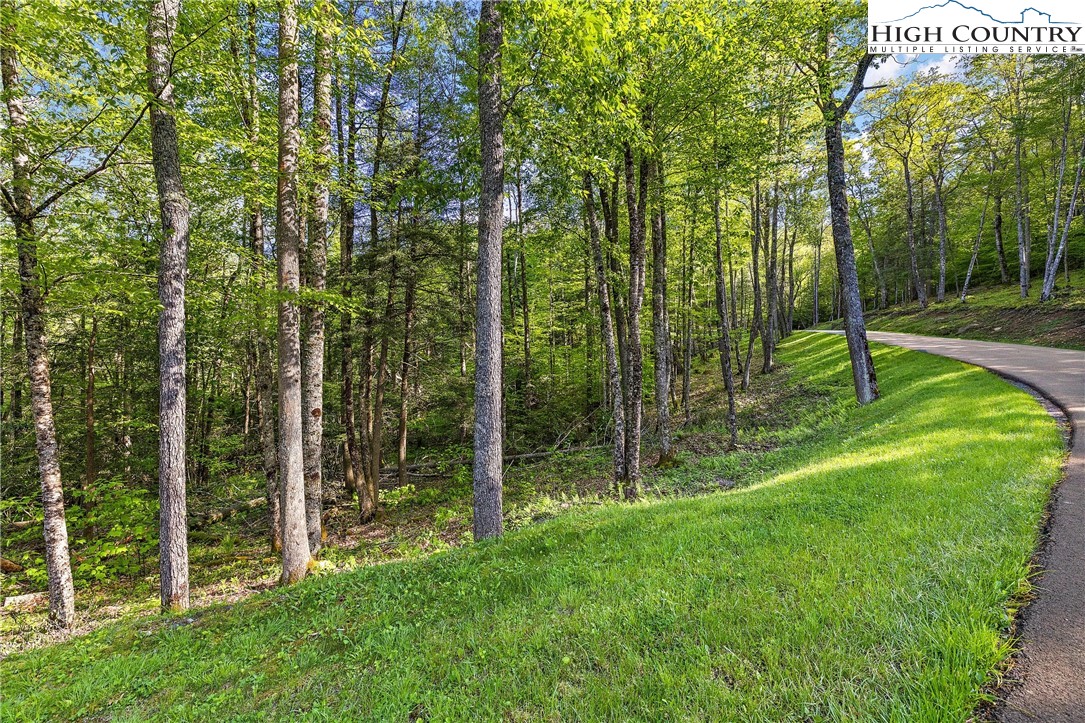 78 Eagles Nest Trail Property Photo 1