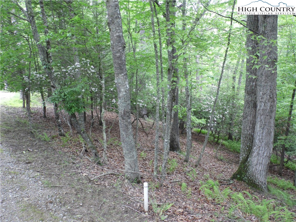 Tbd Deer Valley Road Property Photo 2
