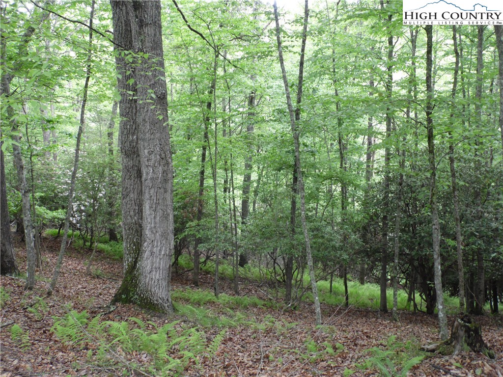 Tbd Deer Valley Road Property Photo 3