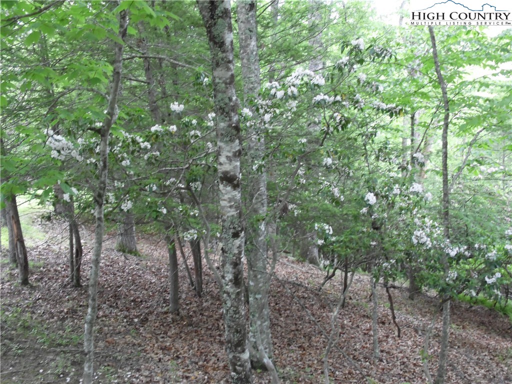 Tbd Deer Valley Road Property Photo 4