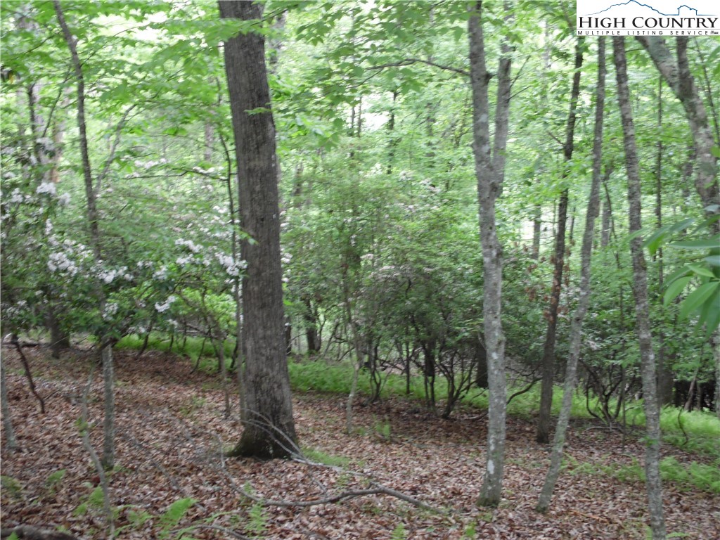 Tbd Deer Valley Road Property Photo 5