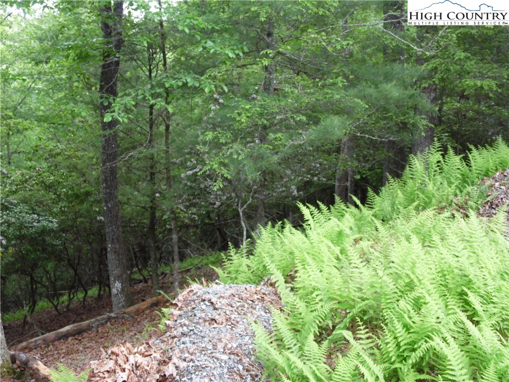 Tbd Deer Valley Road Property Photo 6