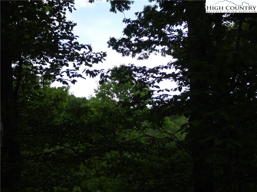 Tbd Deer Valley Road Property Photo 7