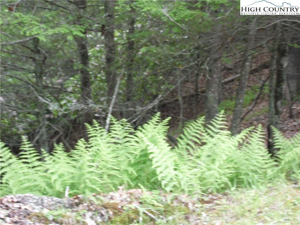 Tbd Deer Valley Road Property Photo 8
