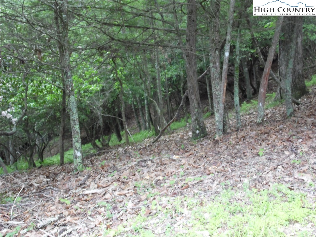 Tbd Deer Valley Road Property Photo 9