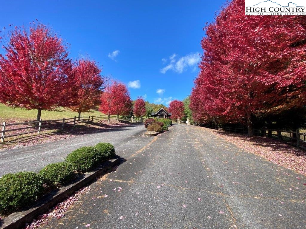 5 Twin Oaks Mountain Boulevard Property Photo 1