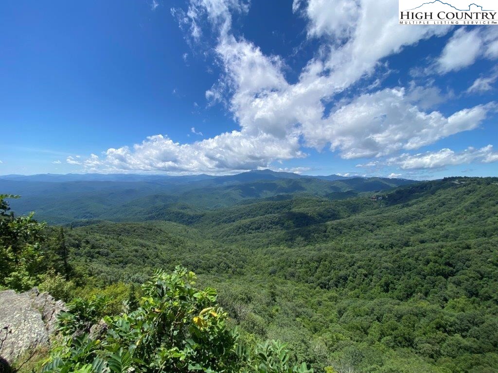 5 Twin Oaks Mountain Boulevard Property Photo 2