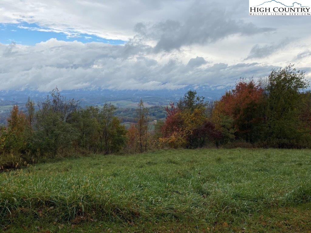 14 Twin Oaks Mountain Boulevard Property Photo 4