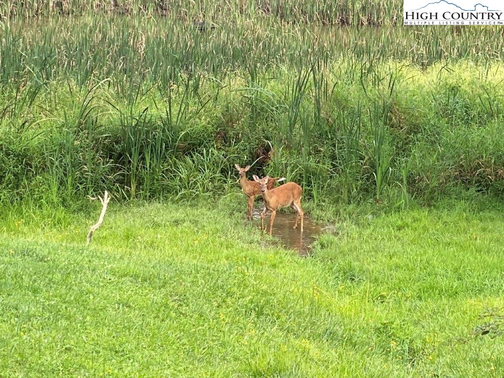 14 Twin Oaks Mountain Boulevard Property Photo 6