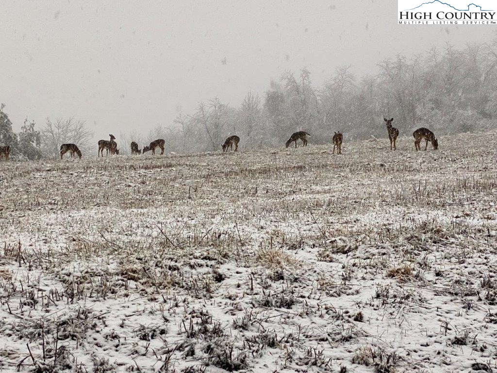 14 Twin Oaks Mountain Boulevard Property Photo 10