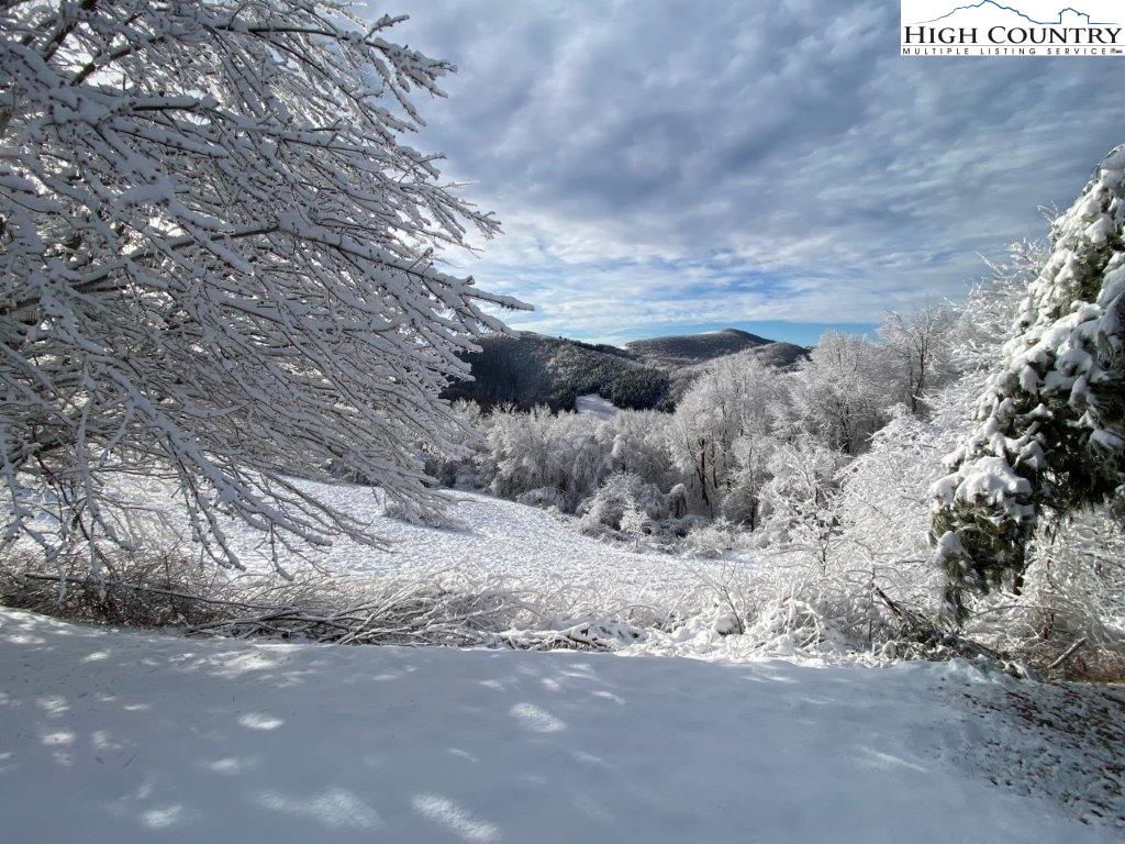 15 Twin Oaks Mountain Boulevard Property Photo 8