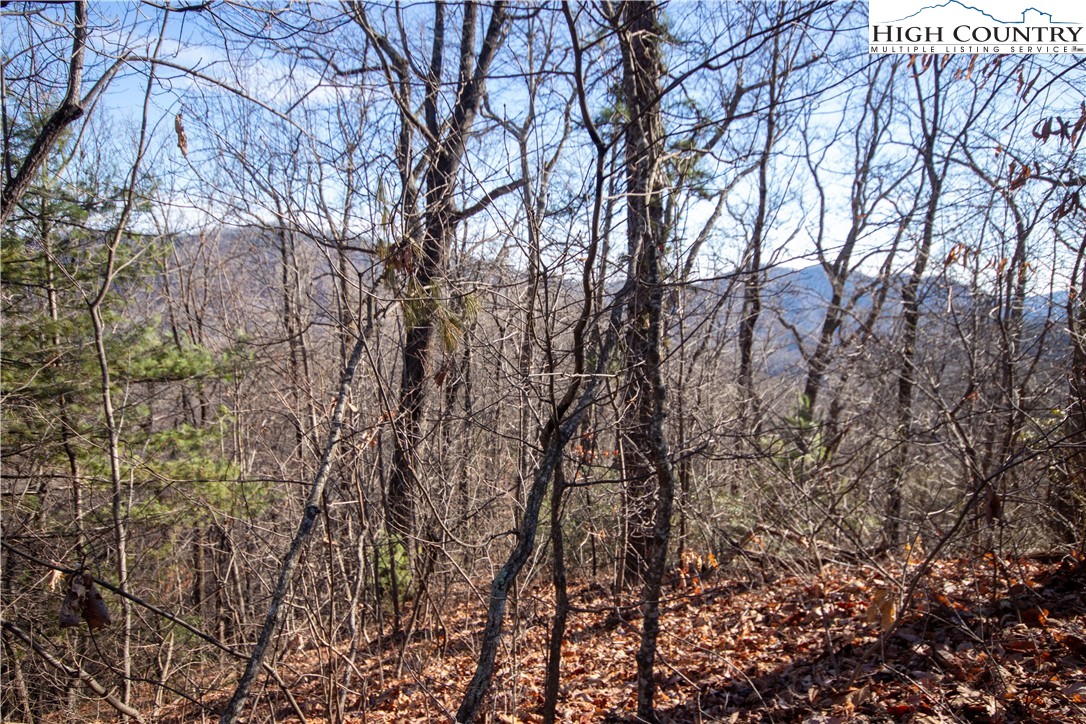 Lot# 502 Timber Rock Lane Property Photo 1
