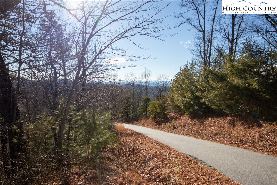 Lot# 502 Timber Rock Lane Property Photo 3