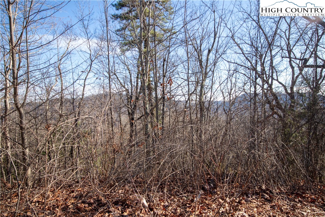 Lot# 502 Timber Rock Lane Property Photo 4