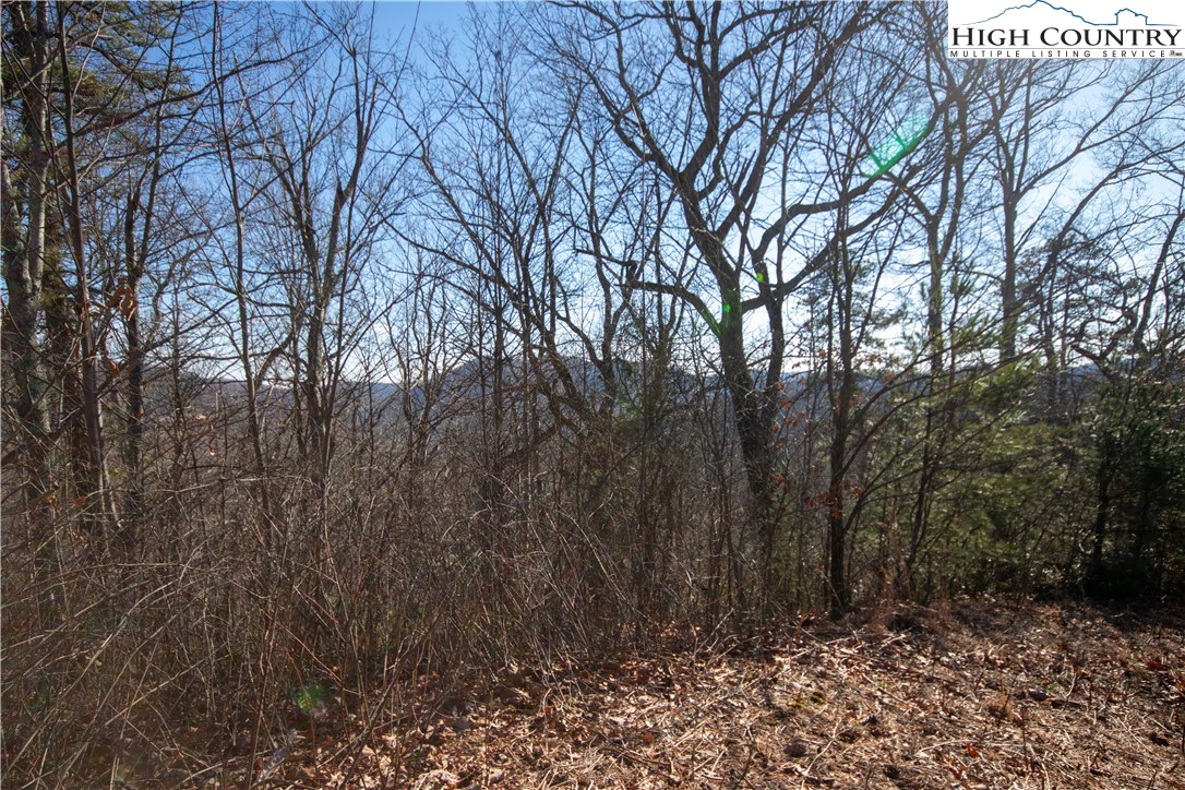 Lot# 502 Timber Rock Lane Property Photo 5