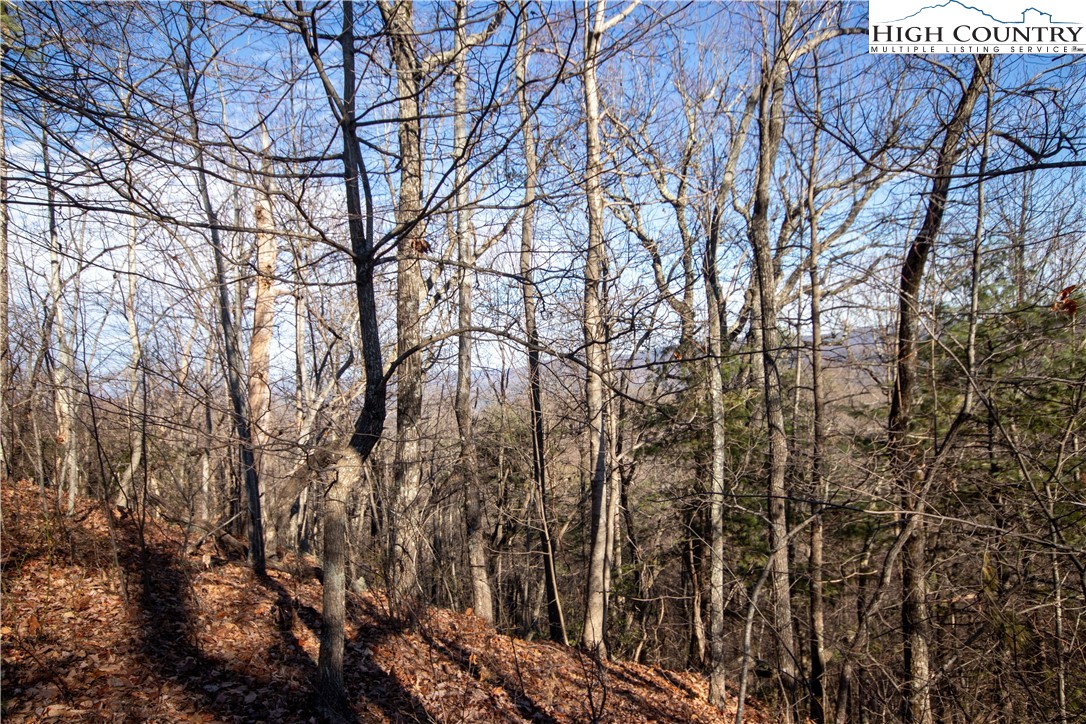 Lot# 502 Timber Rock Lane Property Photo 6