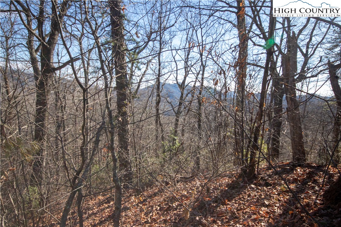 Lot# 502 Timber Rock Lane Property Photo 7