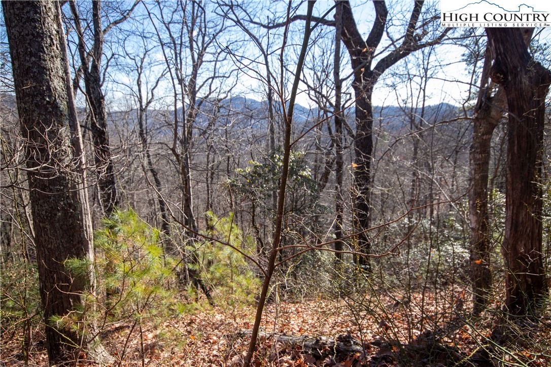 Lot# 502 Timber Rock Lane Property Photo 8
