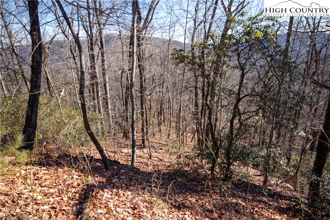 Lot# 502 Timber Rock Lane Property Photo 9