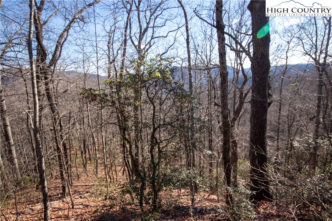 Lot# 502 Timber Rock Lane Property Photo 10
