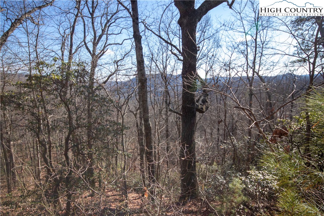 Lot# 502 Timber Rock Lane Property Photo 11