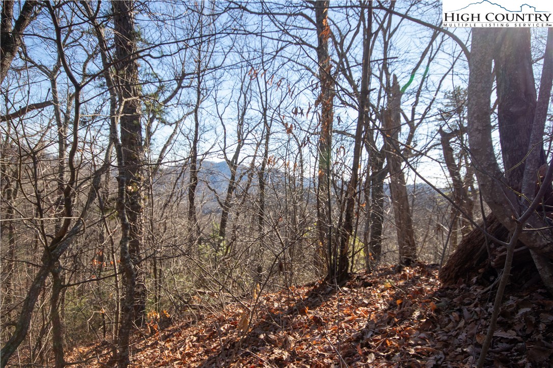 Lot# 502 Timber Rock Lane Property Photo 12