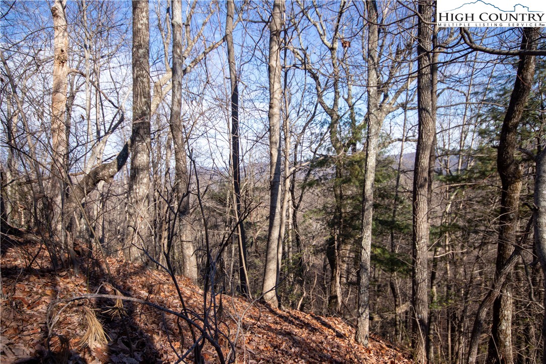Lot# 502 Timber Rock Lane Property Photo 13