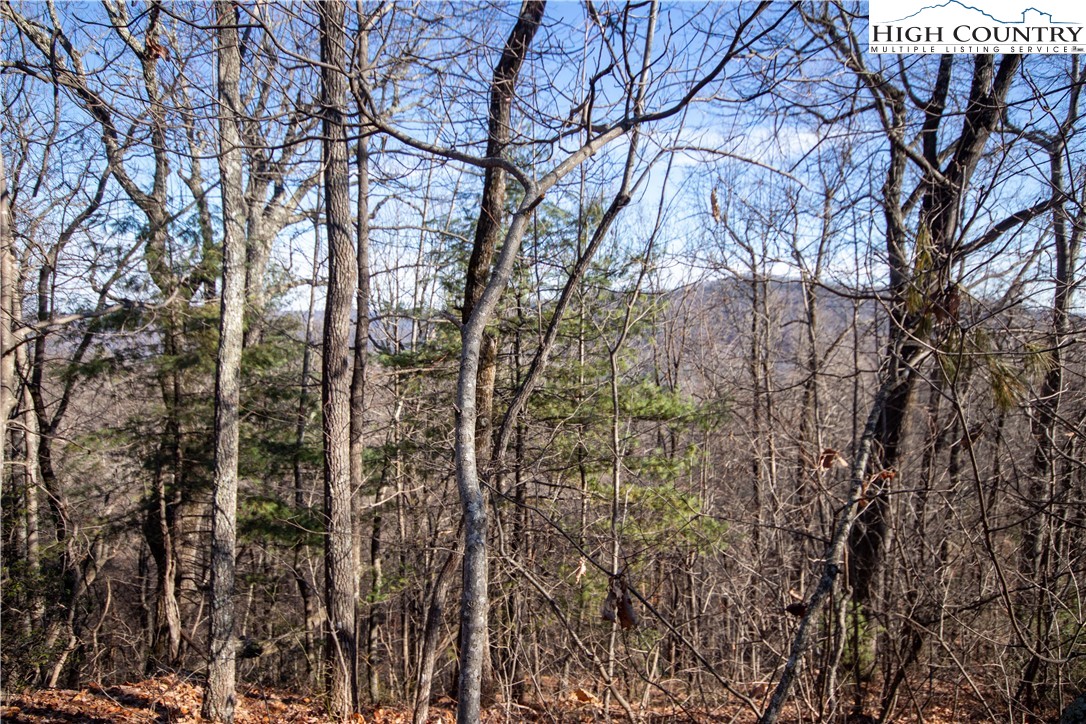 Lot# 502 Timber Rock Lane Property Photo 14