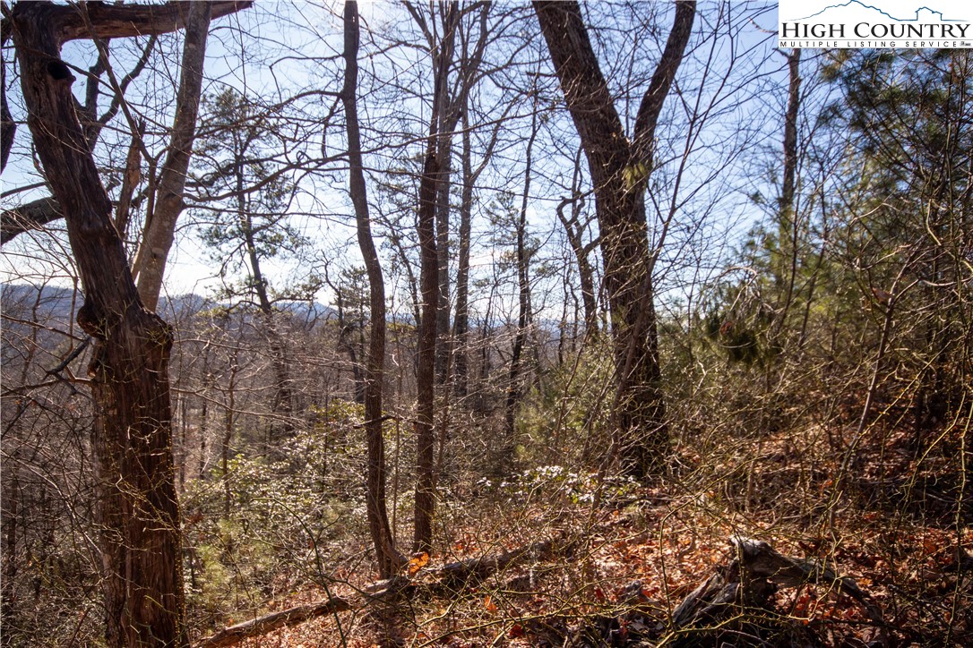 Lot# 502 Timber Rock Lane Property Photo 15
