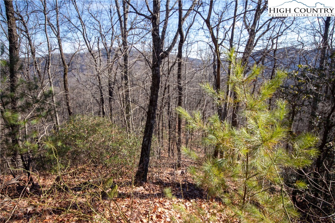 Lot# 502 Timber Rock Lane Property Photo 16