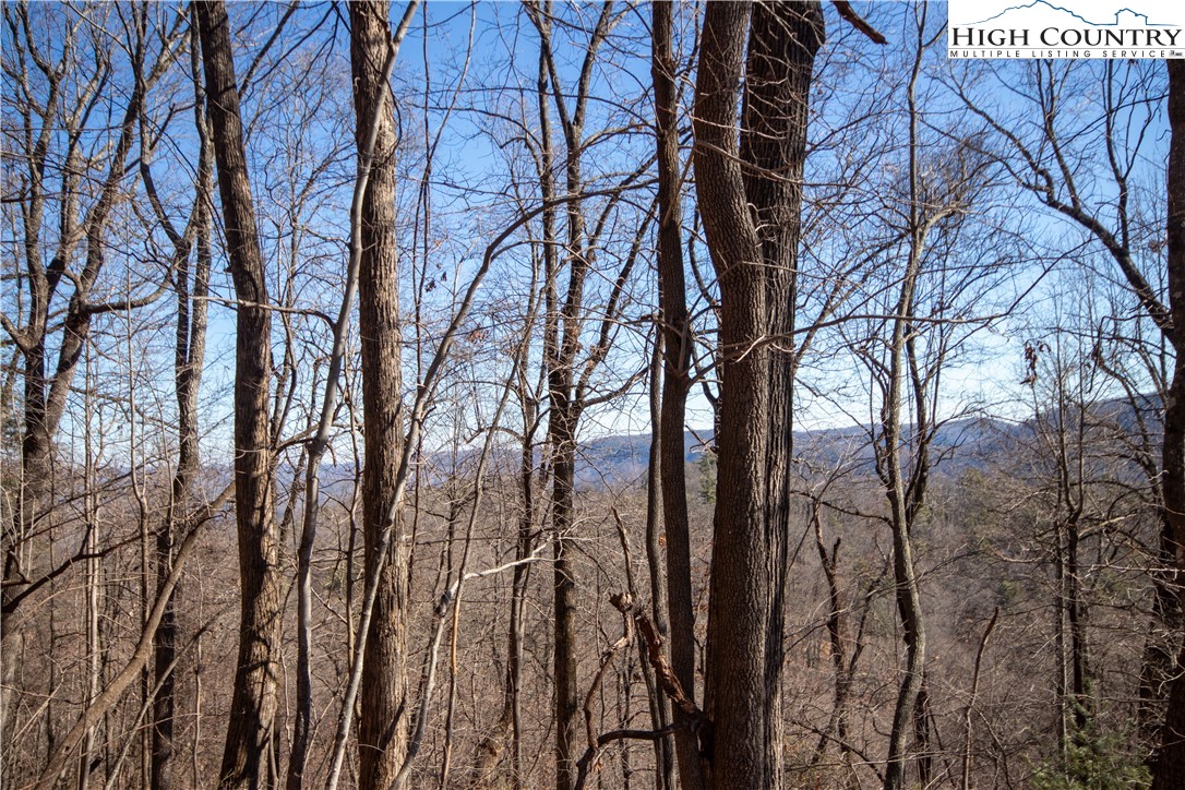 Lot# 502 Timber Rock Lane Property Photo 17
