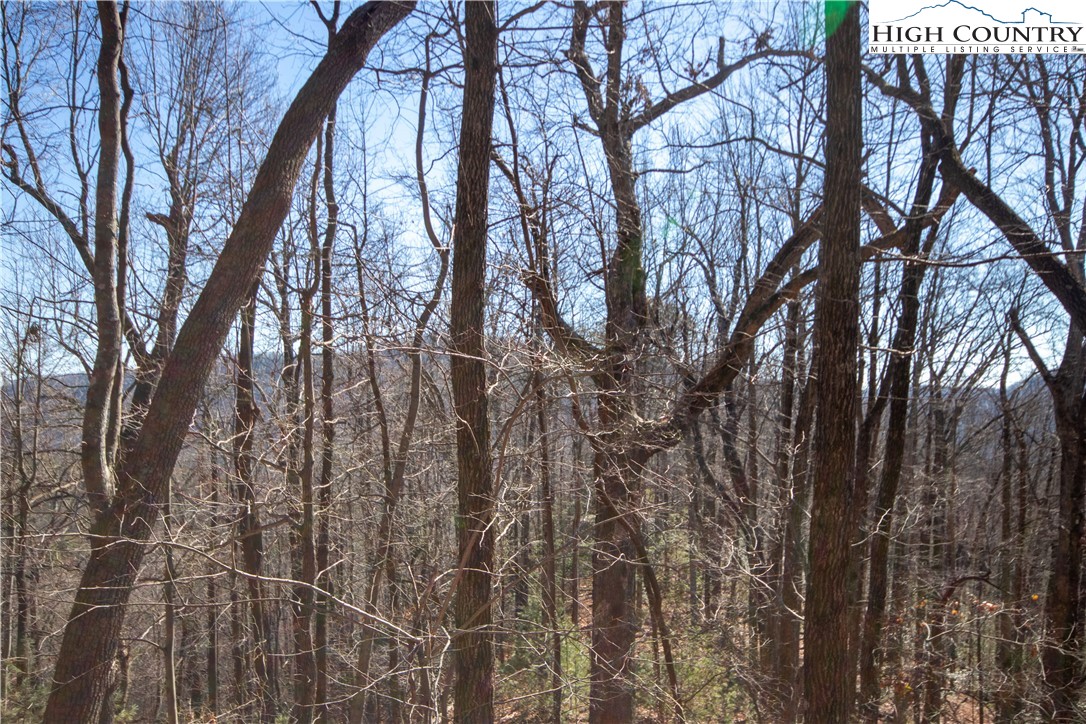 Lot# 502 Timber Rock Lane Property Photo 18