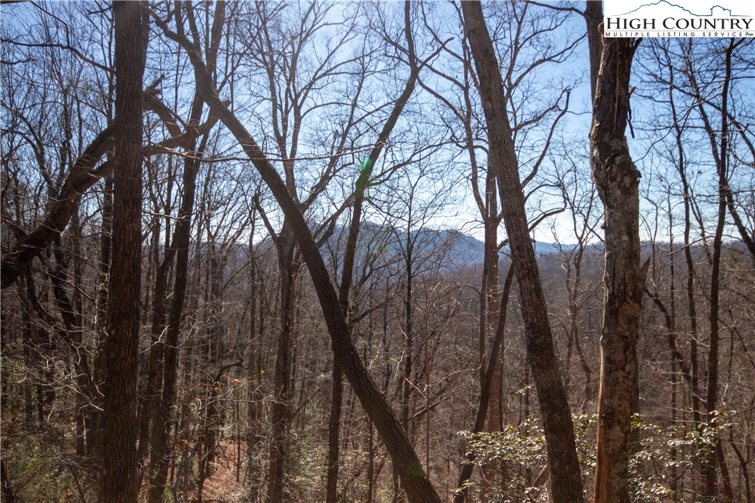 Lot# 502 Timber Rock Lane Property Photo 19