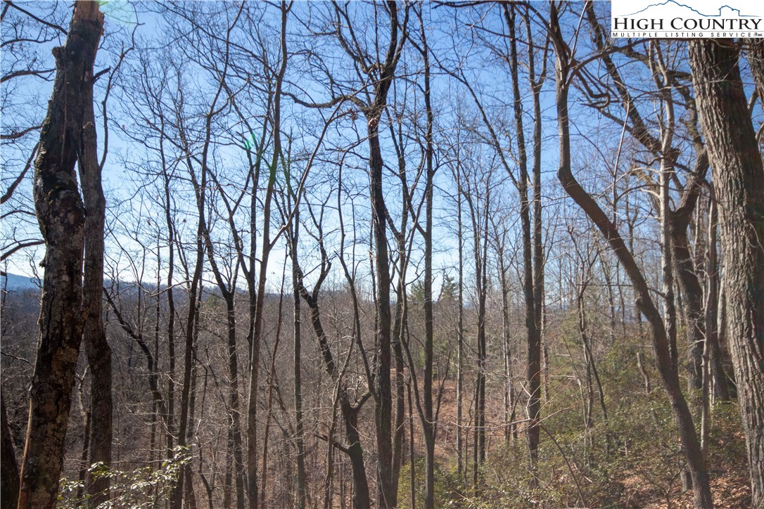 Lot# 502 Timber Rock Lane Property Photo 20