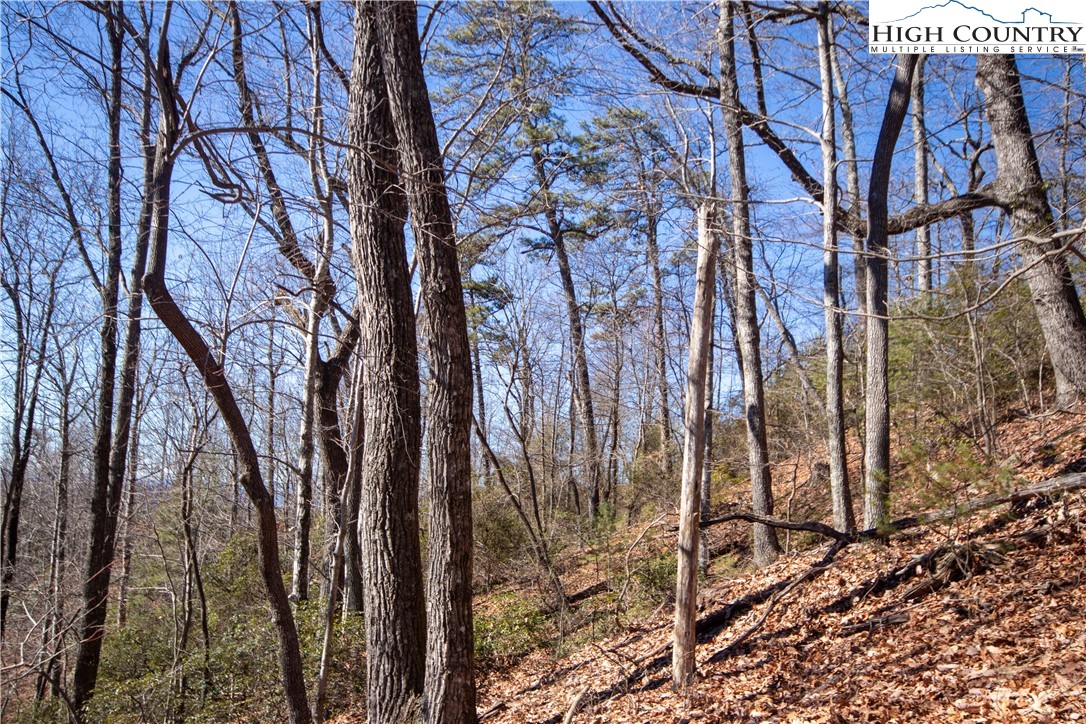 Lot# 502 Timber Rock Lane Property Photo 21