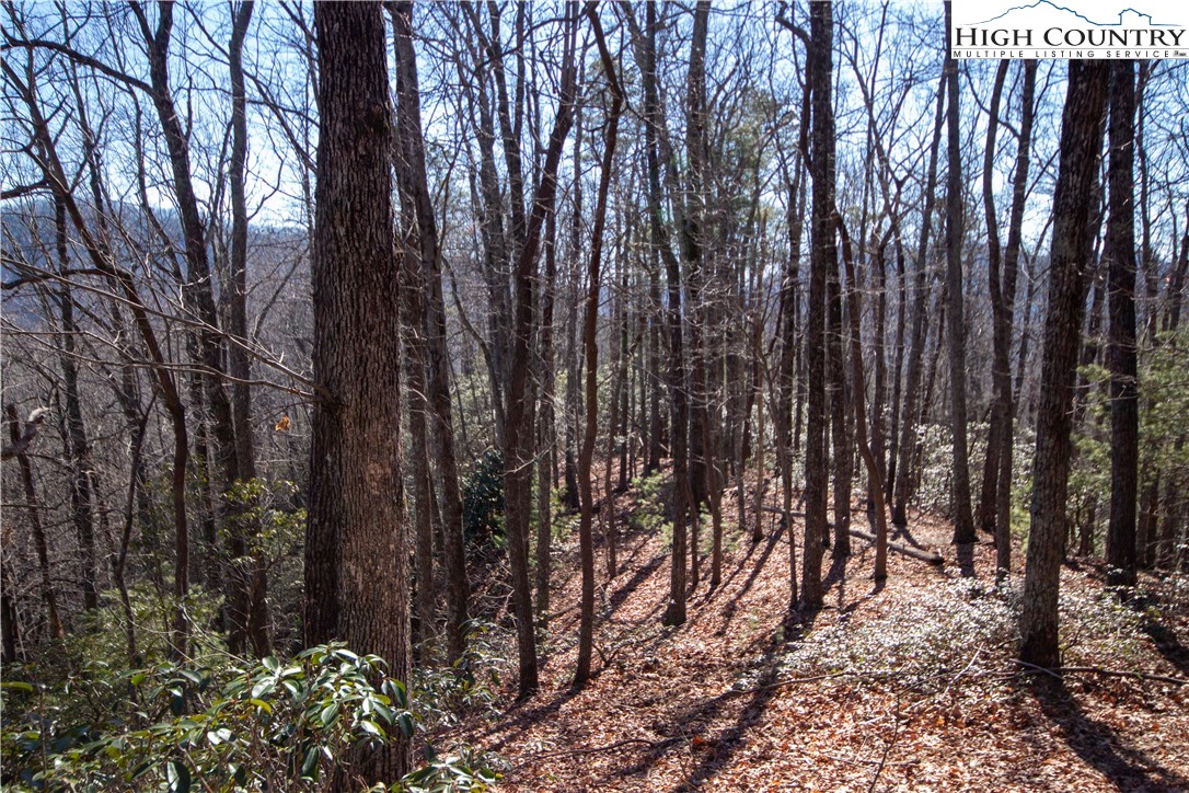 Lot# 502 Timber Rock Lane Property Photo 22