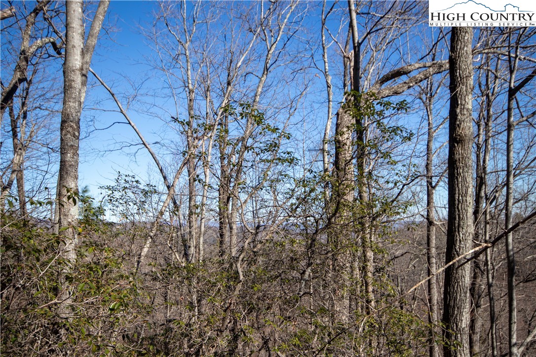 Lot# 502 Timber Rock Lane Property Photo 23
