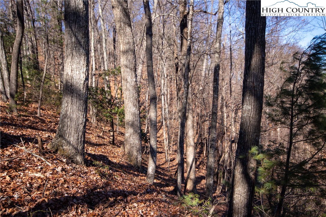 Lot# 502 Timber Rock Lane Property Photo 25