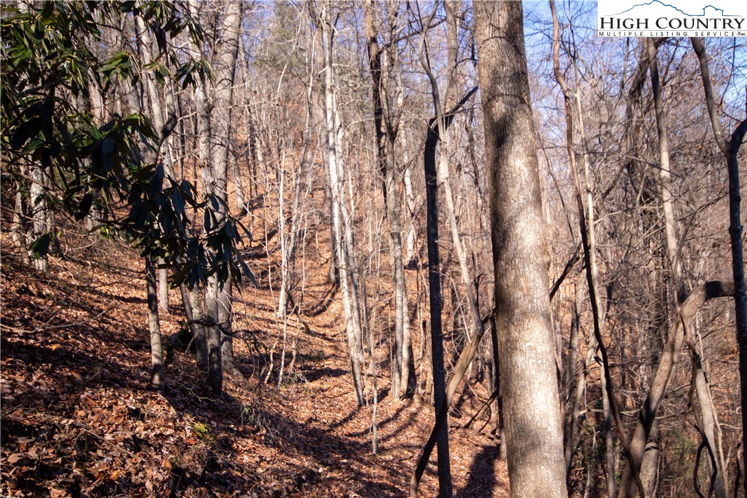 Lot# 502 Timber Rock Lane Property Photo 26