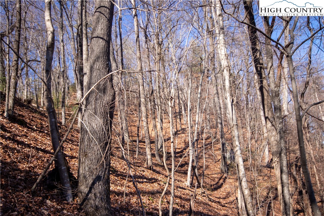 Lot# 502 Timber Rock Lane Property Photo 27