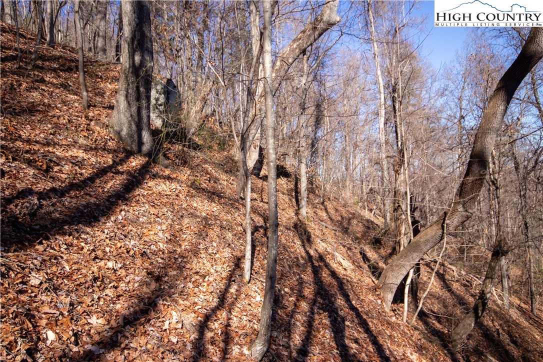 Lot# 502 Timber Rock Lane Property Photo 28