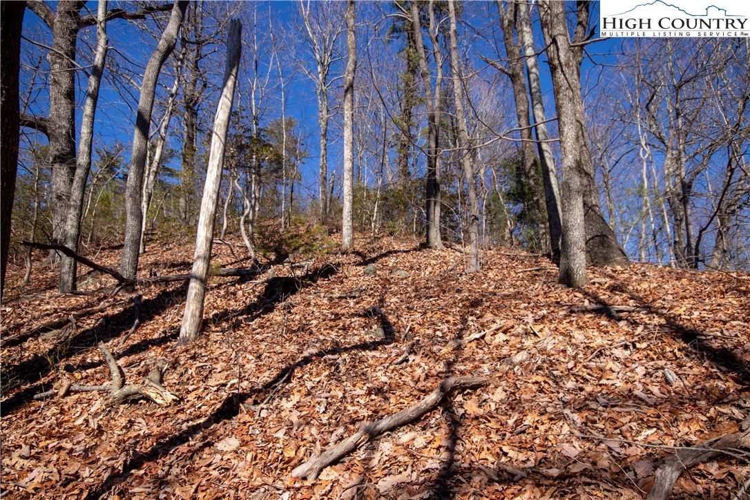 Lot# 502 Timber Rock Lane Property Photo 31