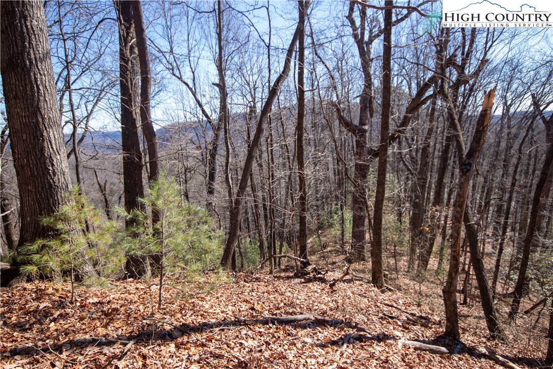 Lot# 502 Timber Rock Lane Property Photo 32