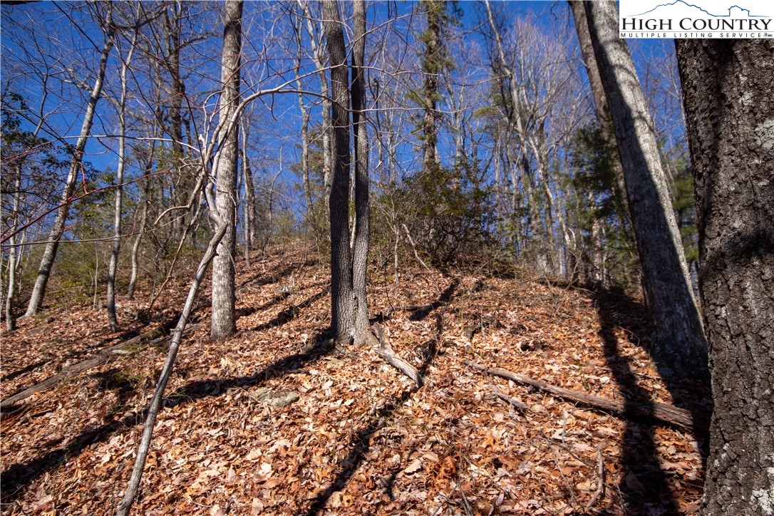 Lot# 502 Timber Rock Lane Property Photo 33