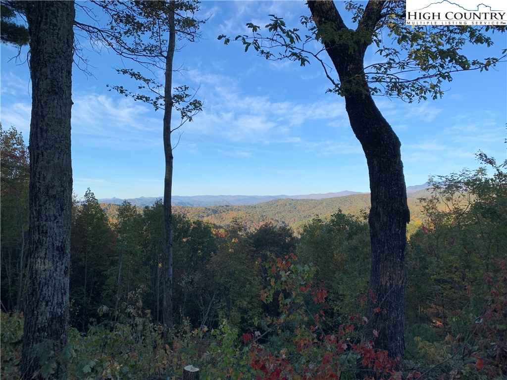 Lot# 137 Timber Rock Lane Property Photo 6