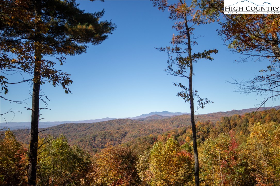 Lot# 137 Timber Rock Lane Property Photo 25