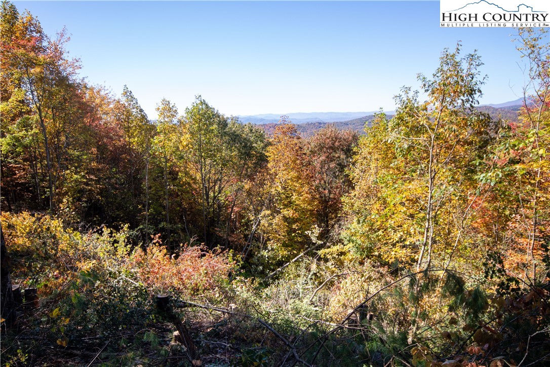 Lot# 137 Timber Rock Lane Property Photo 27