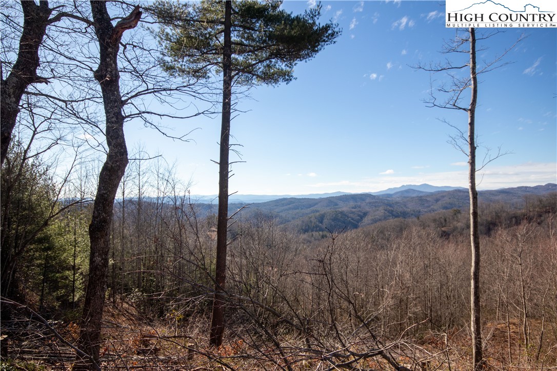 Lot# 137 Timber Rock Lane Property Photo 33